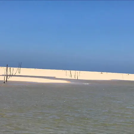 Les Amarres Aiguillon *