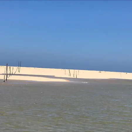 Les Amarres Aiguillon *