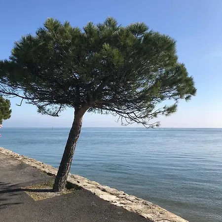 Les Amarres Aiguillon Arcachon